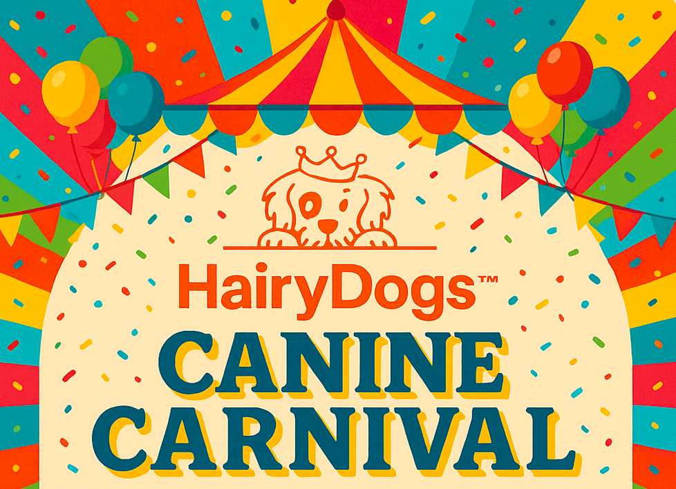 Where to Find Hairy Dogs This June: Don’t Miss the Canine Carnival!