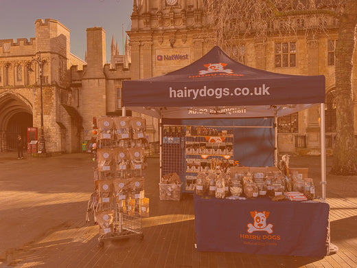 Where to Find Us in January 2025: Natural Dog Treats & Special Offers!