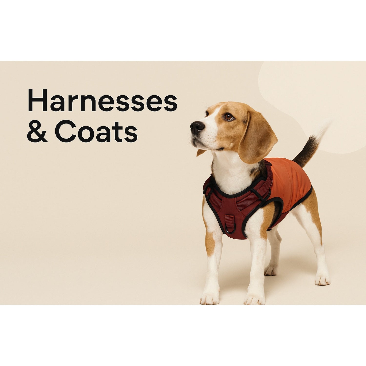 Durable Dog Harnesses & Coats for Walks, Training & All Weather