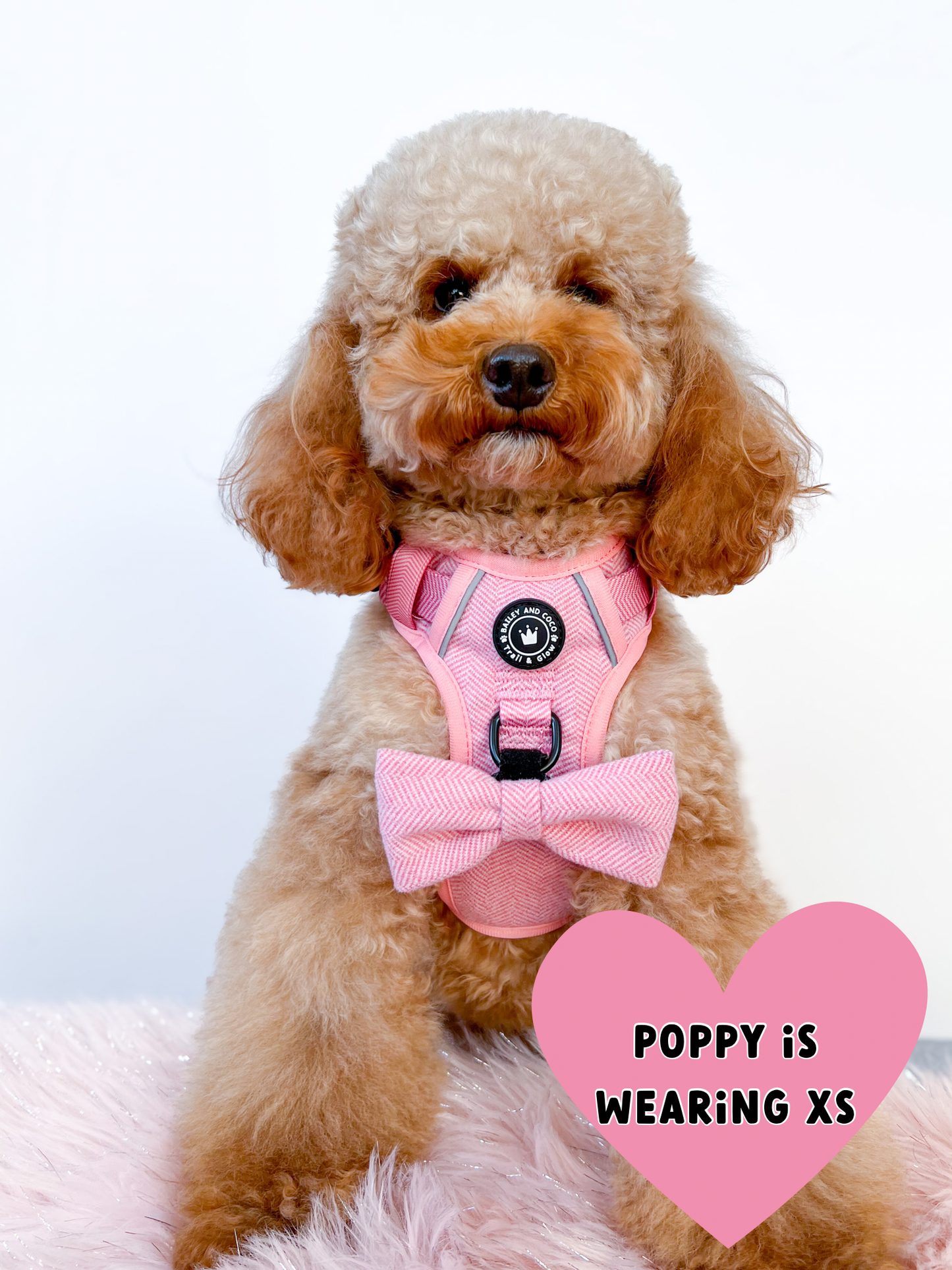 Trail & Glow® No Pull Dog Harness – Bubblegum Pink Tweed (Reflective, Adjustable, Easy-Fit)