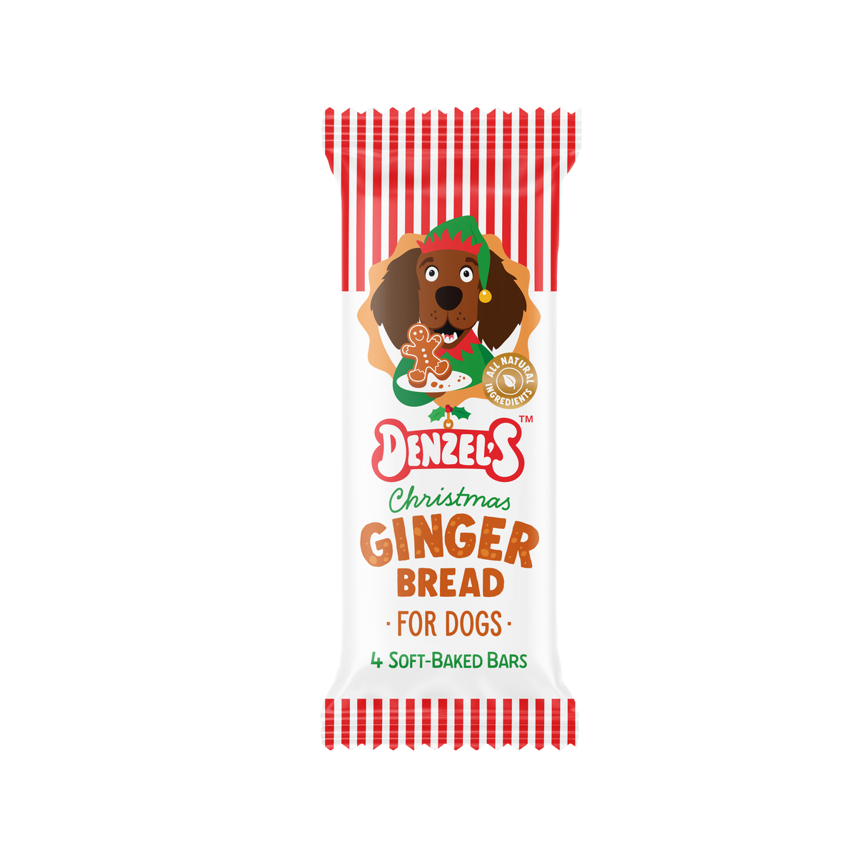 Denzel's Gingerbread House Christmas gift for dogs