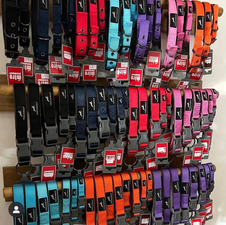 MIro & Makauri Neoprene Padded Nylon Clasp Dog Collar