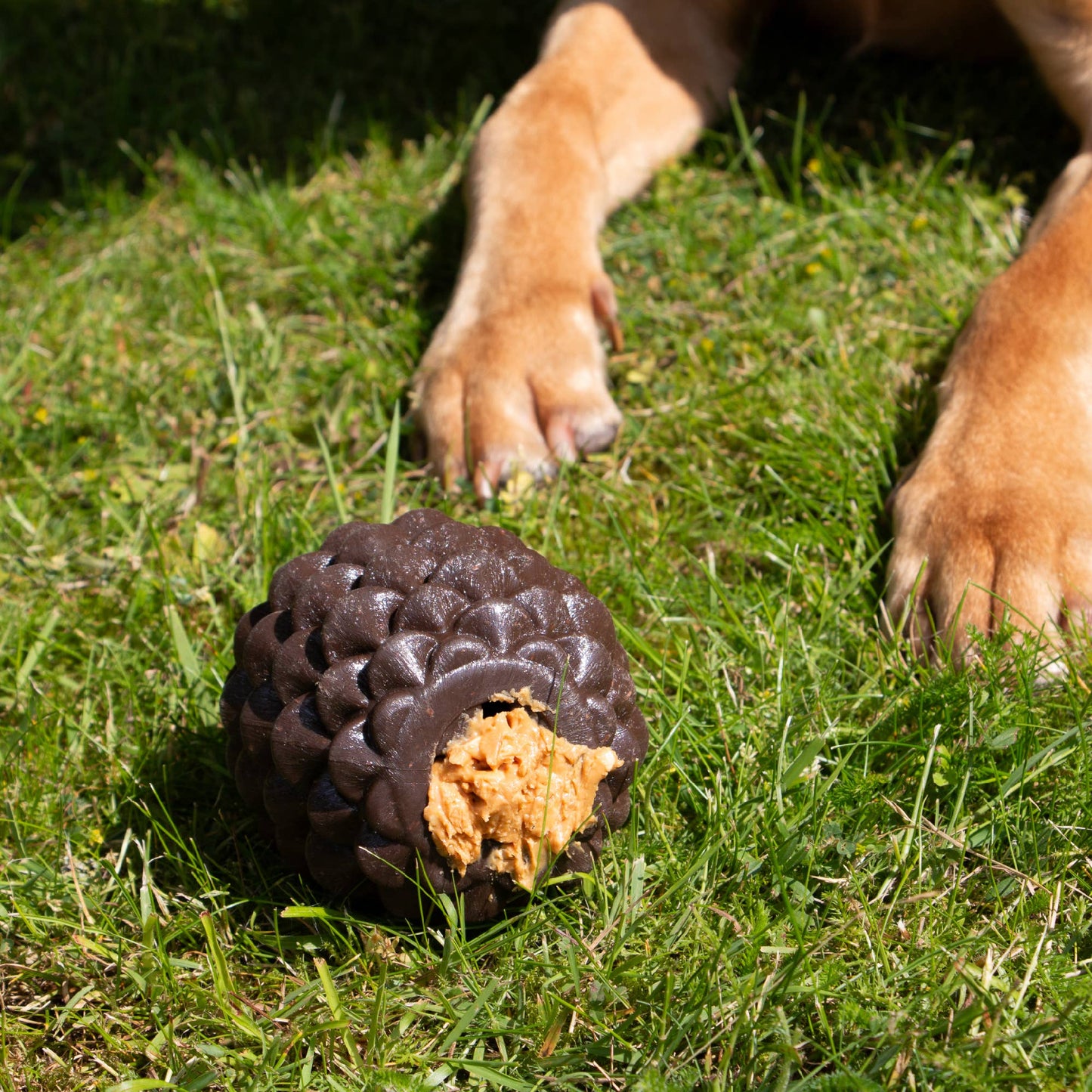 Fillable dog toy from ÖRVA made for mental stimulation