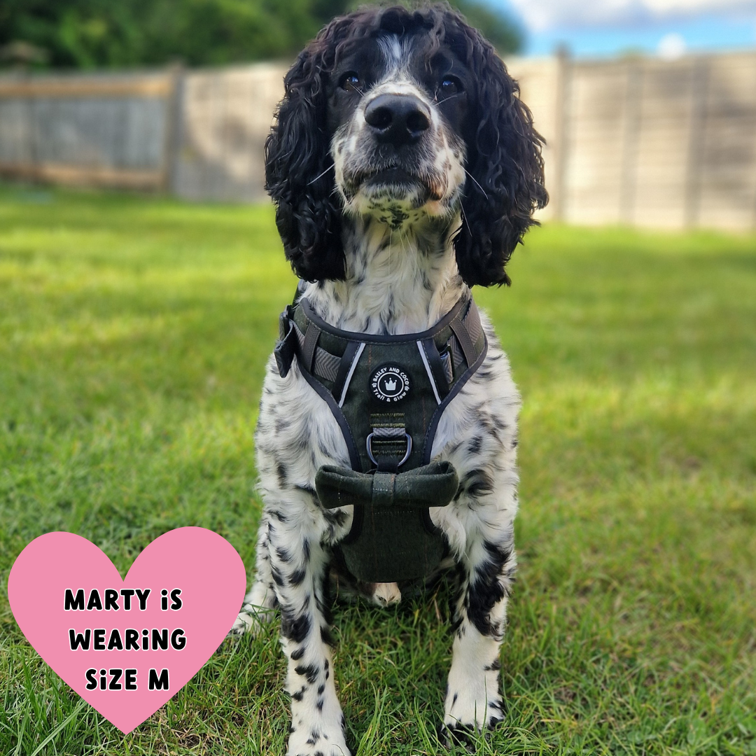 Forest Tweed Dog Harness – Stylish, Adjustable & Reflective
