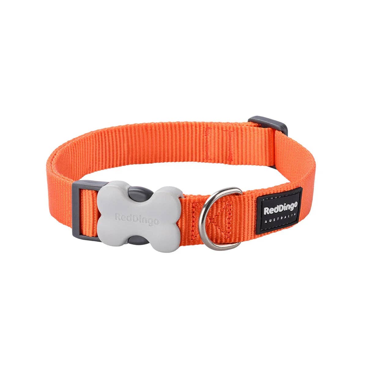 Red Dingo Classic dog collar in Orange — Bucklebone buckle and stainless steel D-ring
