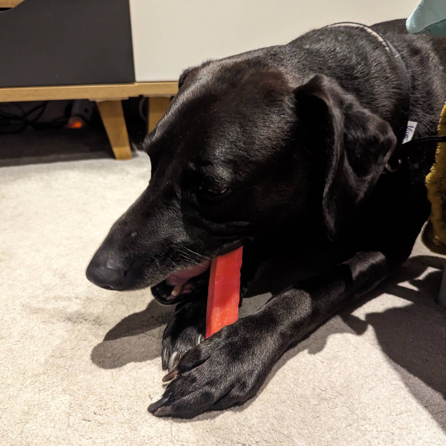 K2 Yak Chews 100% Natural Dog Treats Strawberry Medium