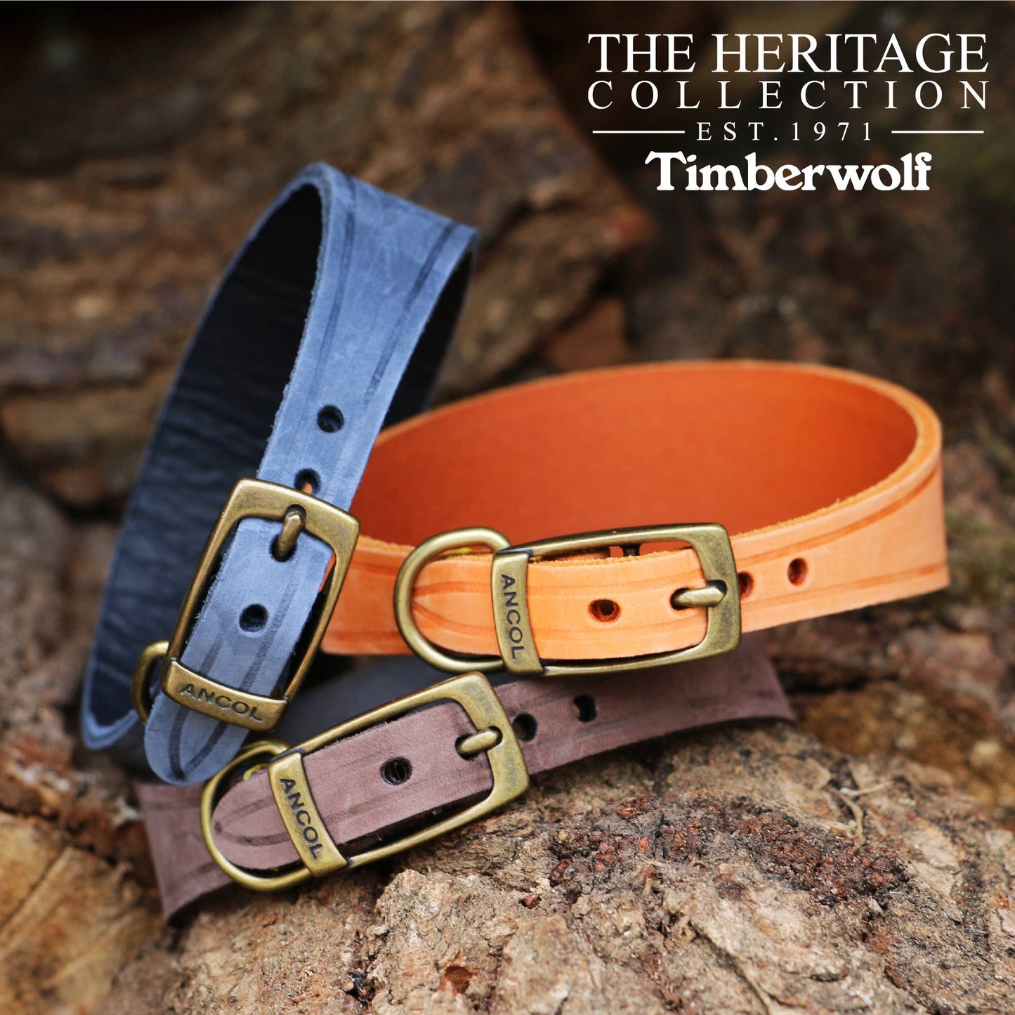 Timberwolf Hound Collar ( Size 34-43cm).