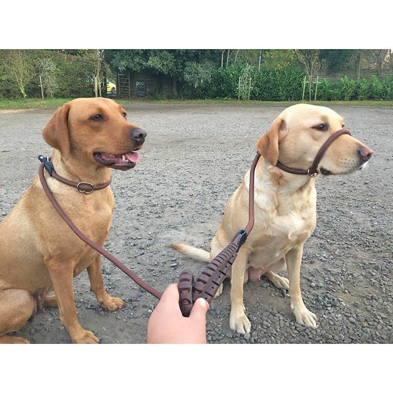 Miro & Makauri "RUBBER HANDLE GRIP" - Bright Colours. Reflec - Hairy Dogs (Cambs) Ltd