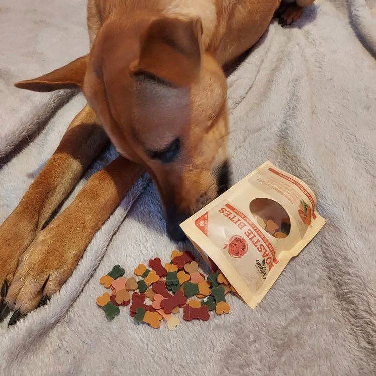 MaksPatch Training Dog Treats "Roastie Bites" - 100g.