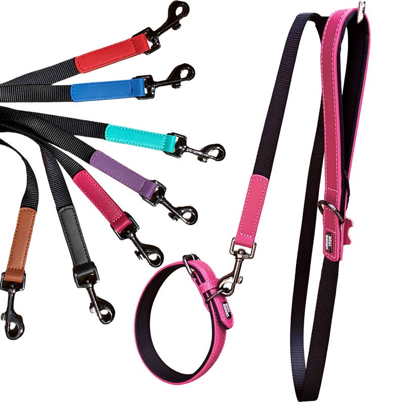 NEW DESIGN. Miro & Makauri 'Milford' Leather/Nylon Leads - 7 Colours