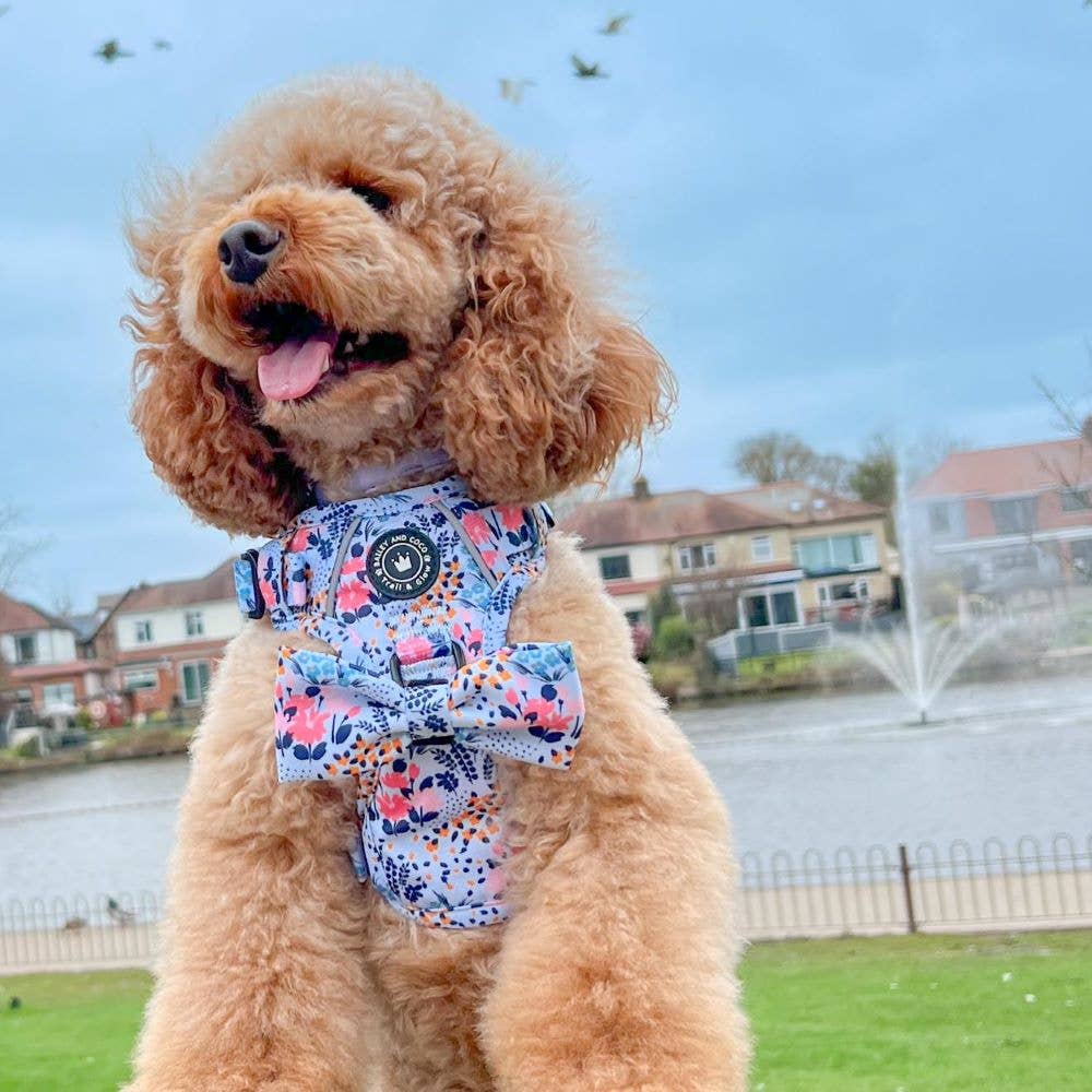 Trail & Glow® Dog Harness - Spring Dreams