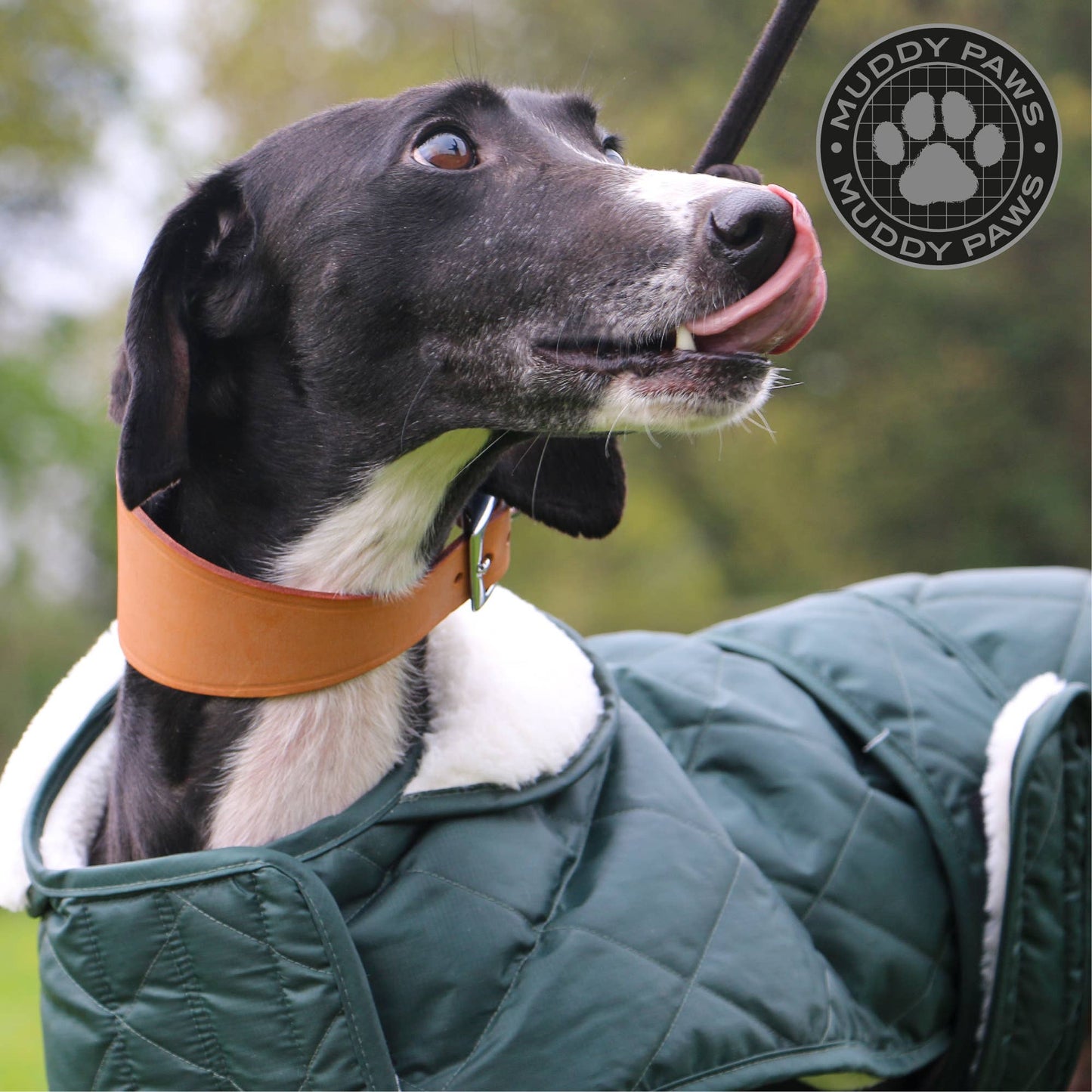Quilted Hound Coat.