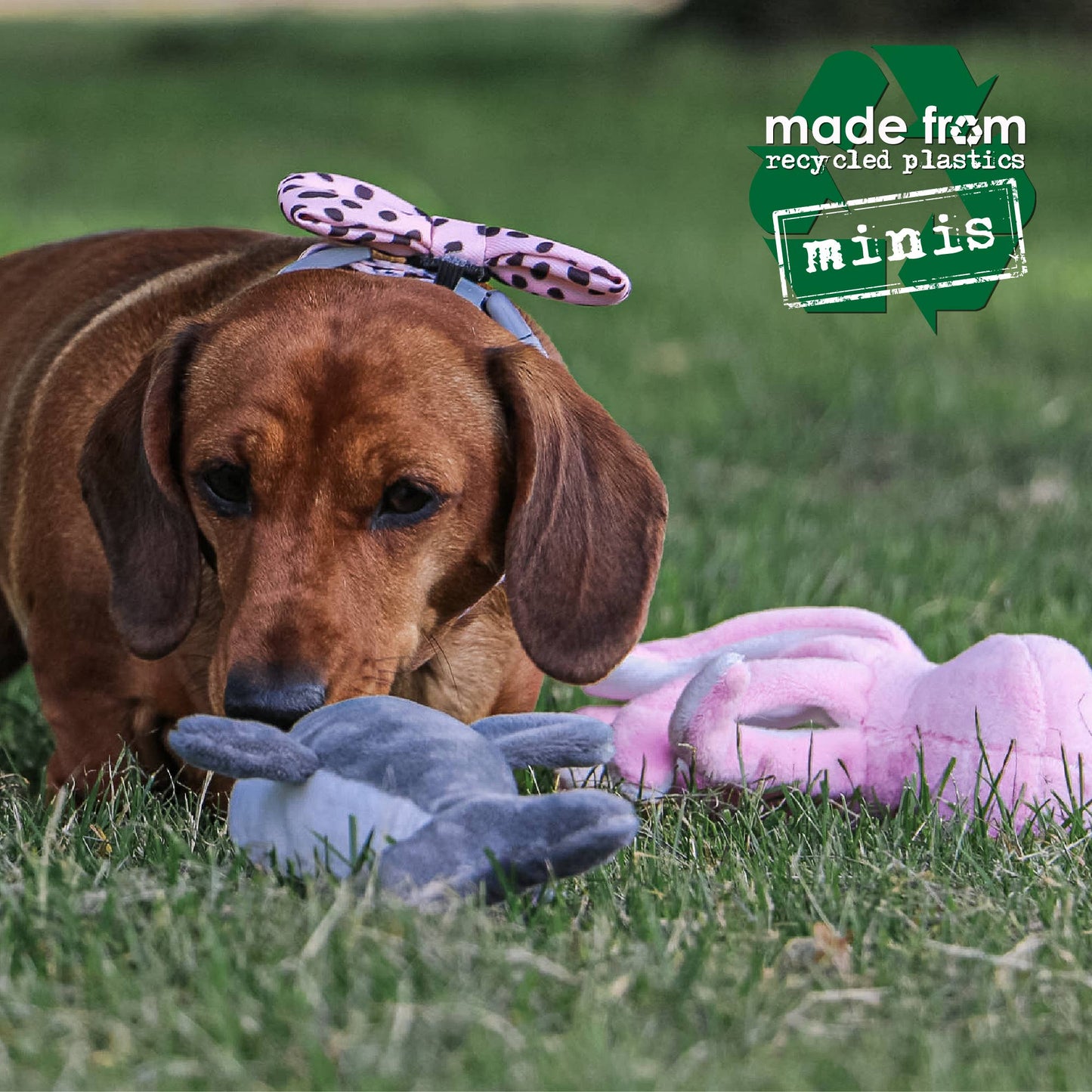 Dog playing with a toy in the grass, with 'made from recycled plastics minis' text overlay.