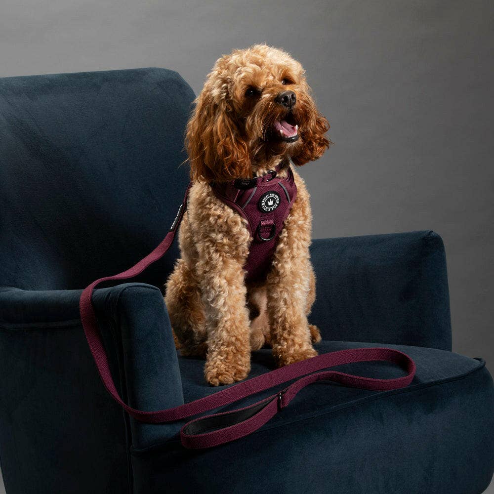 Fabric Dog Lead 5ft - Mulberry Tweed.