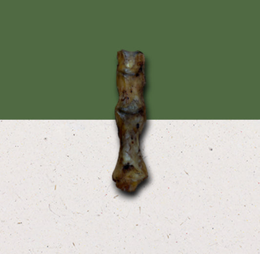 Ostrich Foot.