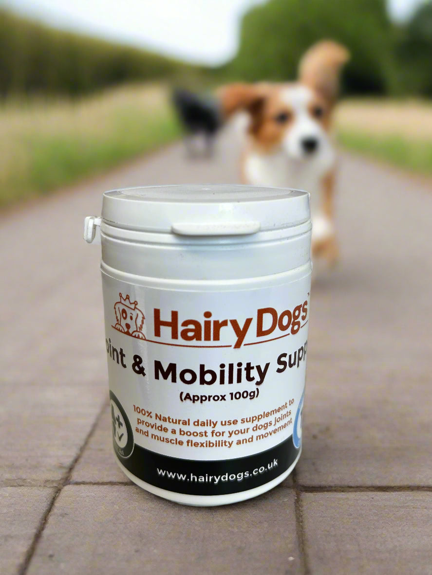 Joint & Mobility Support Supplement 100g