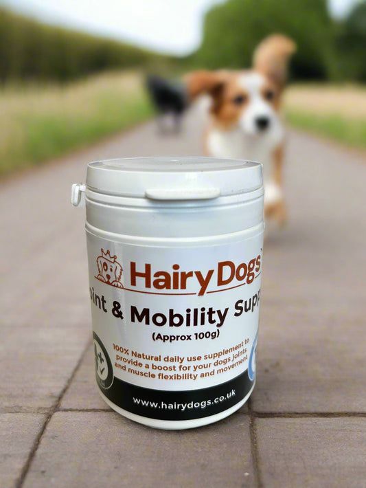 Joint & Mobility Support Supplement 100g