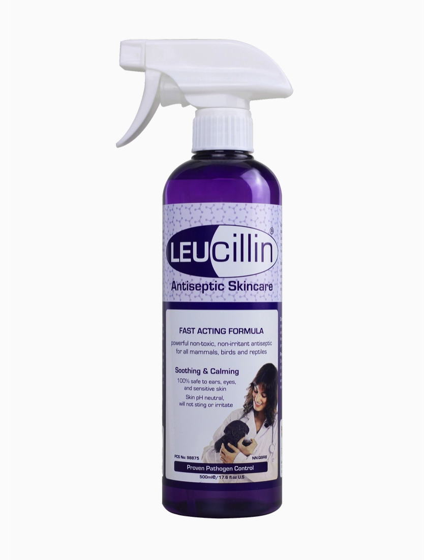Leucillin Pet Antiseptic Spray | 500ml.