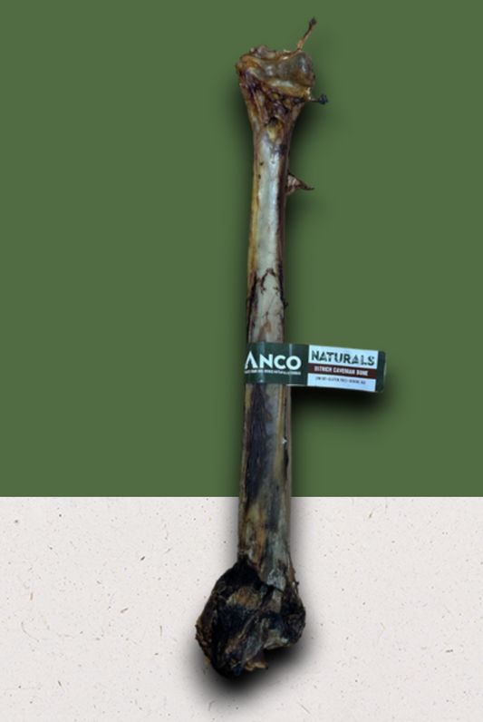 Ostrich Caveman Bone.