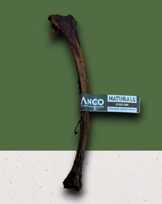 Ostrich Wing.