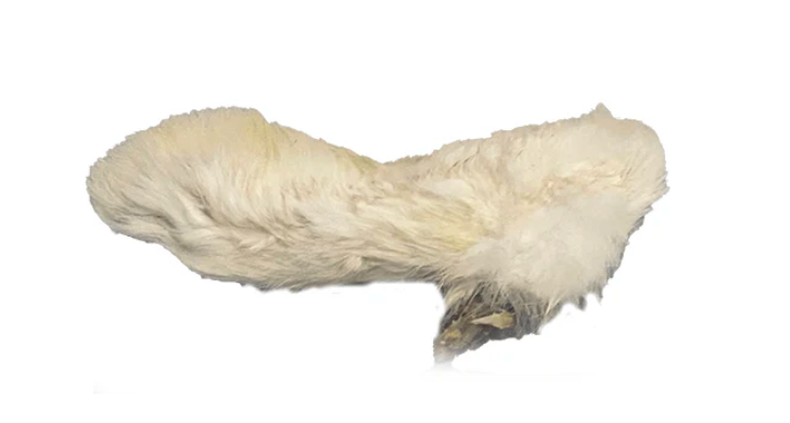 Furry Rabbit Foot.