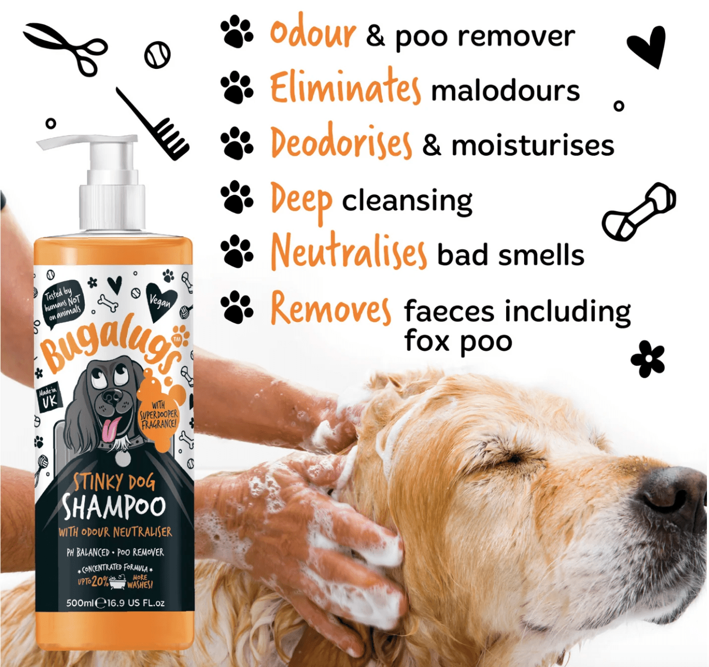 Washing Golden Retriever with Bugalugs Stinky Dog Shampoo – removes odours and faeces including fox poo.