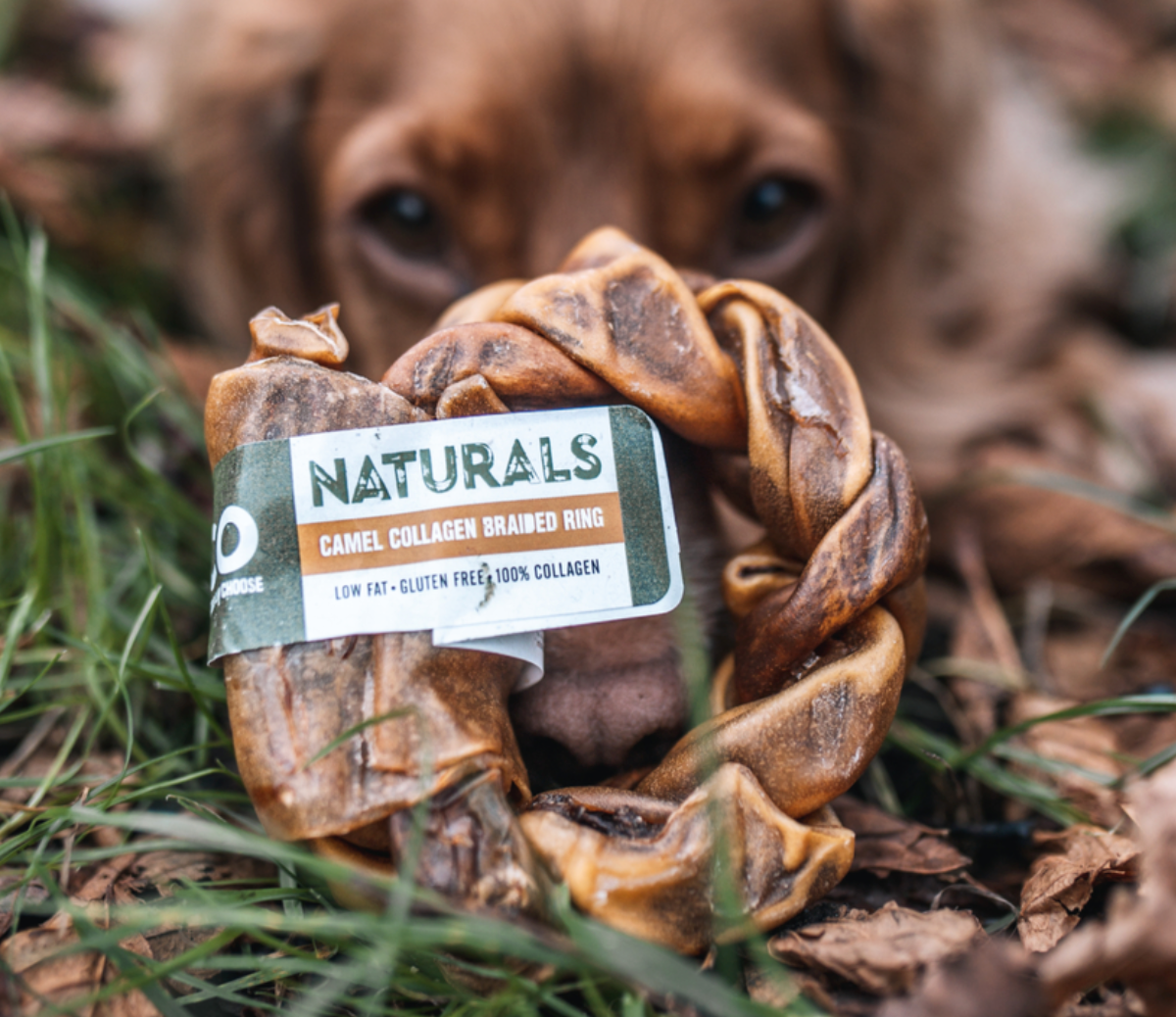 Dog chew treat with 'Naturals' label in a natural setting