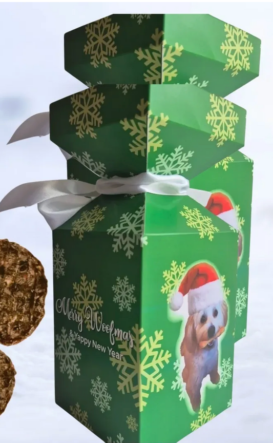 Festive Dog Christmas Cracker – Squirrel, Pear & Ginger Cookies 🐿️🍐✨ | Limited Edition