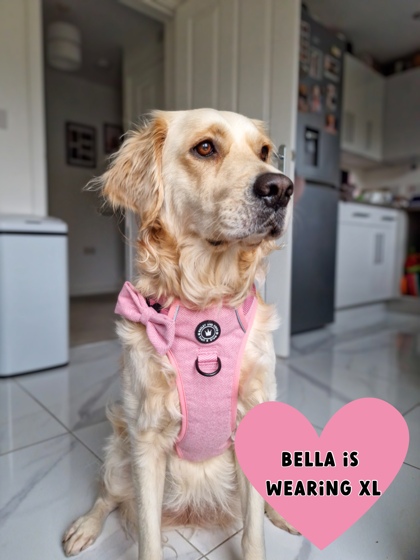 Trail & Glow® No Pull Dog Harness – Bubblegum Pink Tweed (Reflective, Adjustable, Easy-Fit)