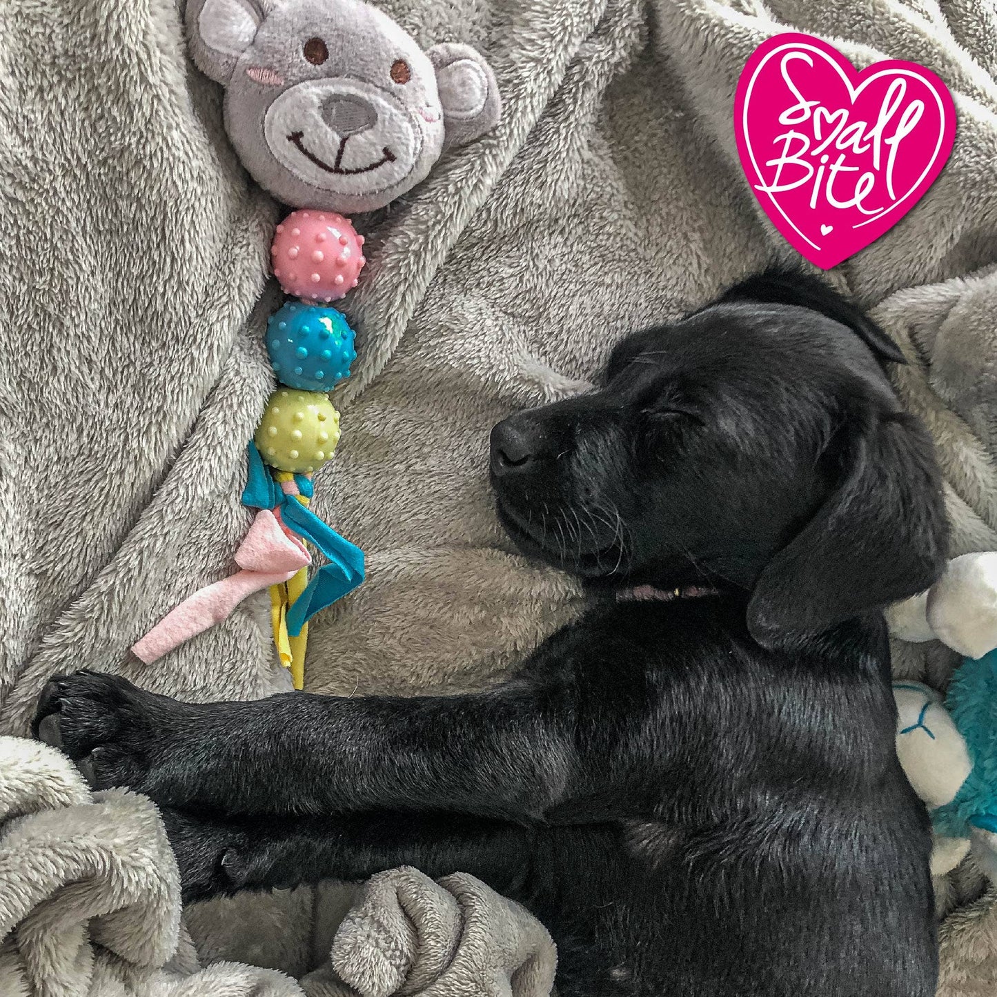Ancol Small Bite puppy comforter toy showing textured rubbery nubs