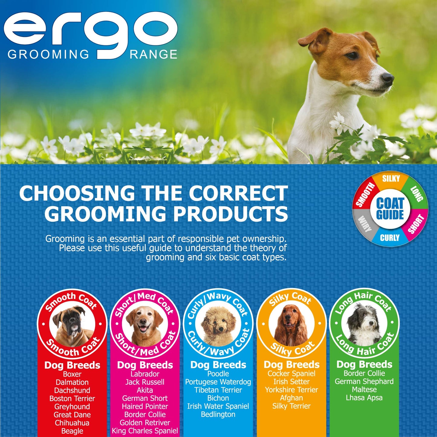 Ancol Ergo Hedgehog Slicker Brush – Large | Dual-Action Dog Grooming Brush for All Coat Types - Hairy Dogs (Cambs) Ltd