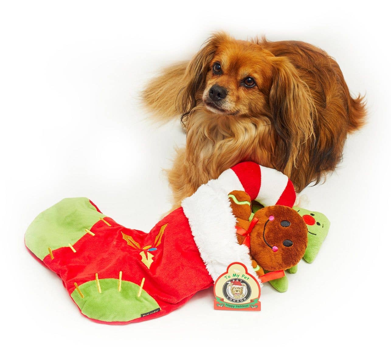 Dog lying beside PetLondon Christmas stocking filled with festive plush toys