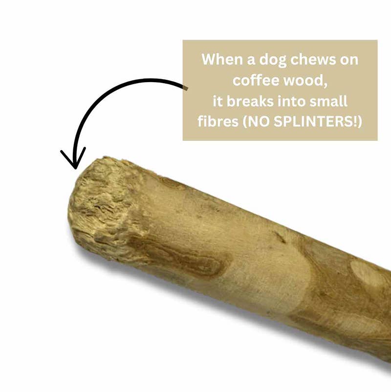 Coffee Wood Chews - 3 sizes.
