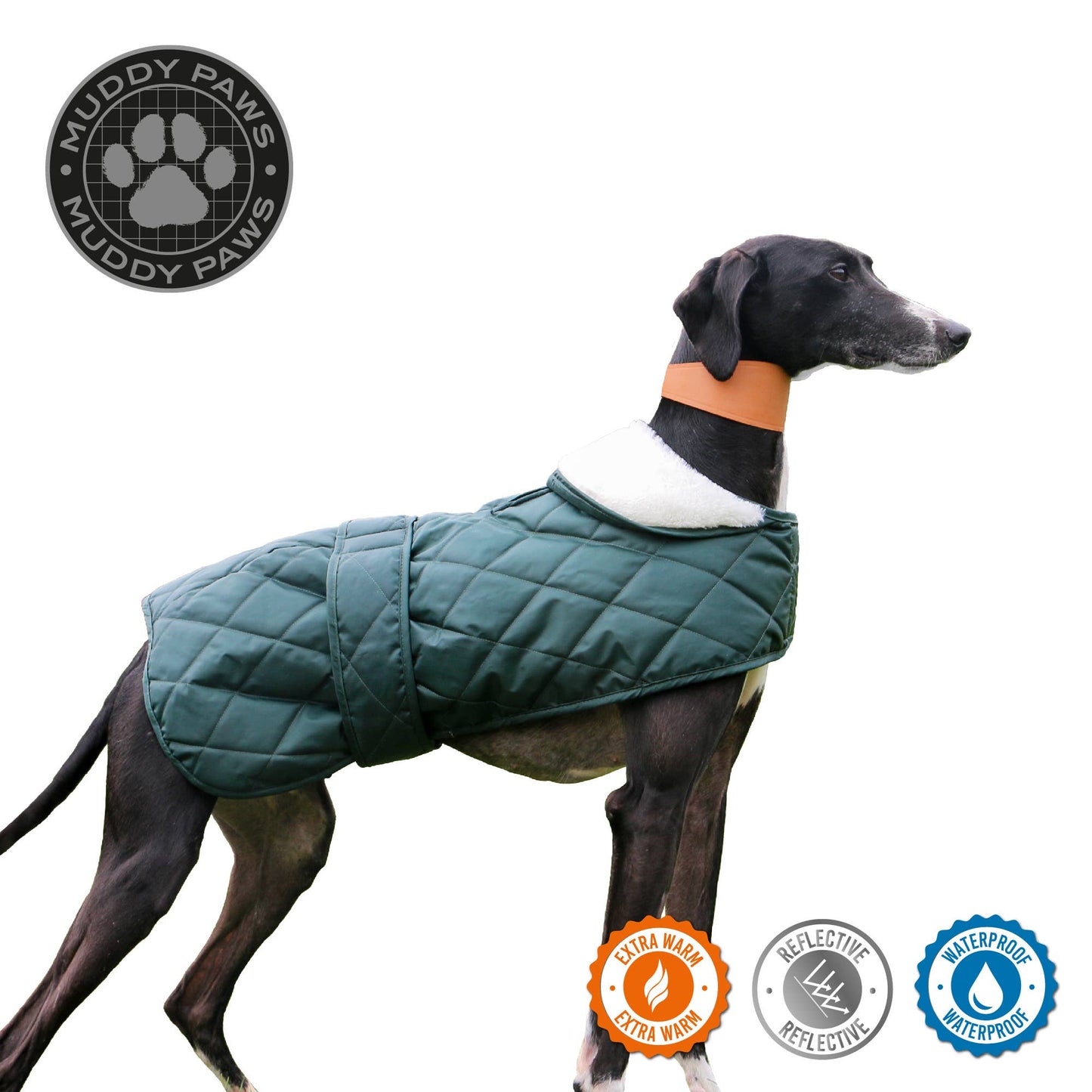 Quilted Hound Coat.