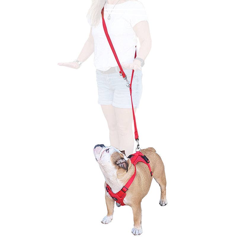 Miro & Makauri Adventurer, Training Body Dog Harness