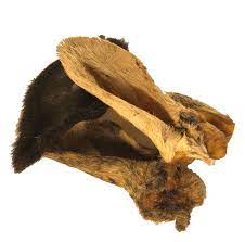 Individual Furry Lamb Ear.