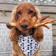 Individual Giant Turkey Foot.