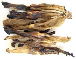 Individual Rabbit Ear.