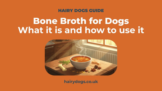 Bowl of warm broth on a kitchen table — Hairy Dogs guide to bone broth for dogs