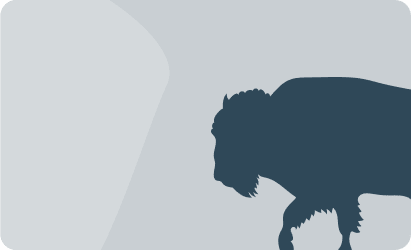 Buffalo