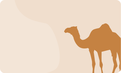 Camel