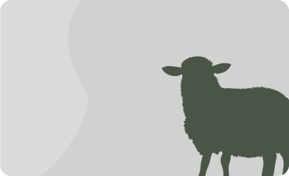 Lamb