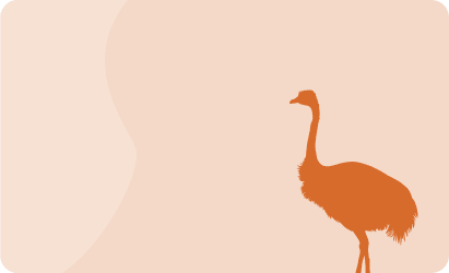 Ostrich