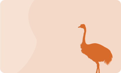 Ostrich