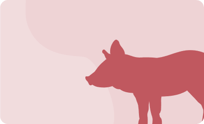 Pork