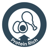 Protein Rich