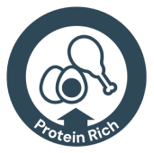 Protein Rich