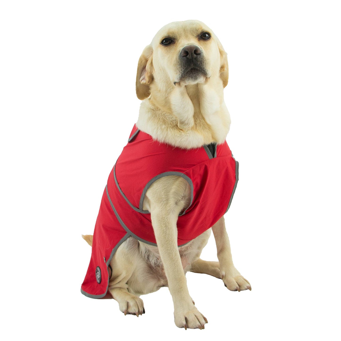 Ancol Stormguard Soft Shell dog coat in Bordeaux — water-resistant, reflective
