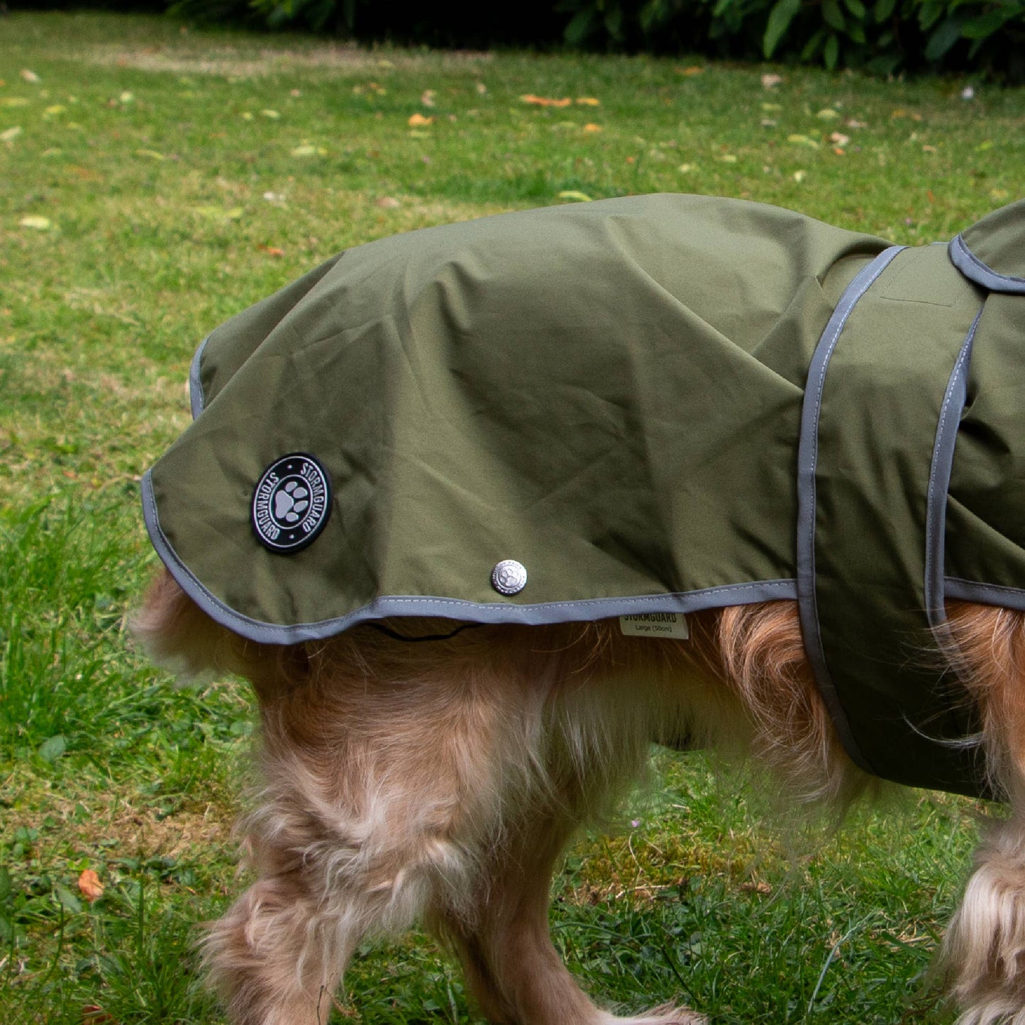 Stormguard Soft Shell  Dog Coat Khaki XS-XXL