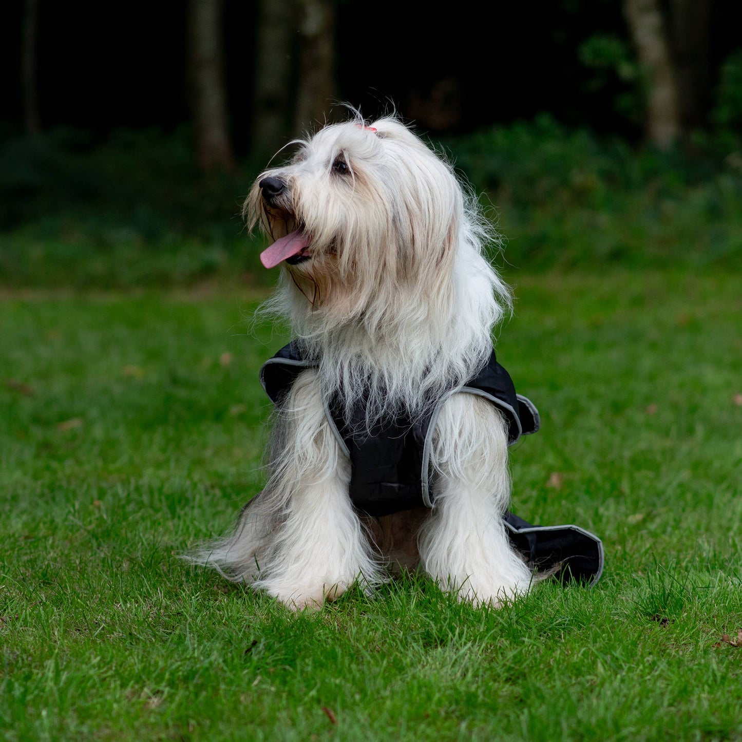 Stormguard All weather Coat : Black